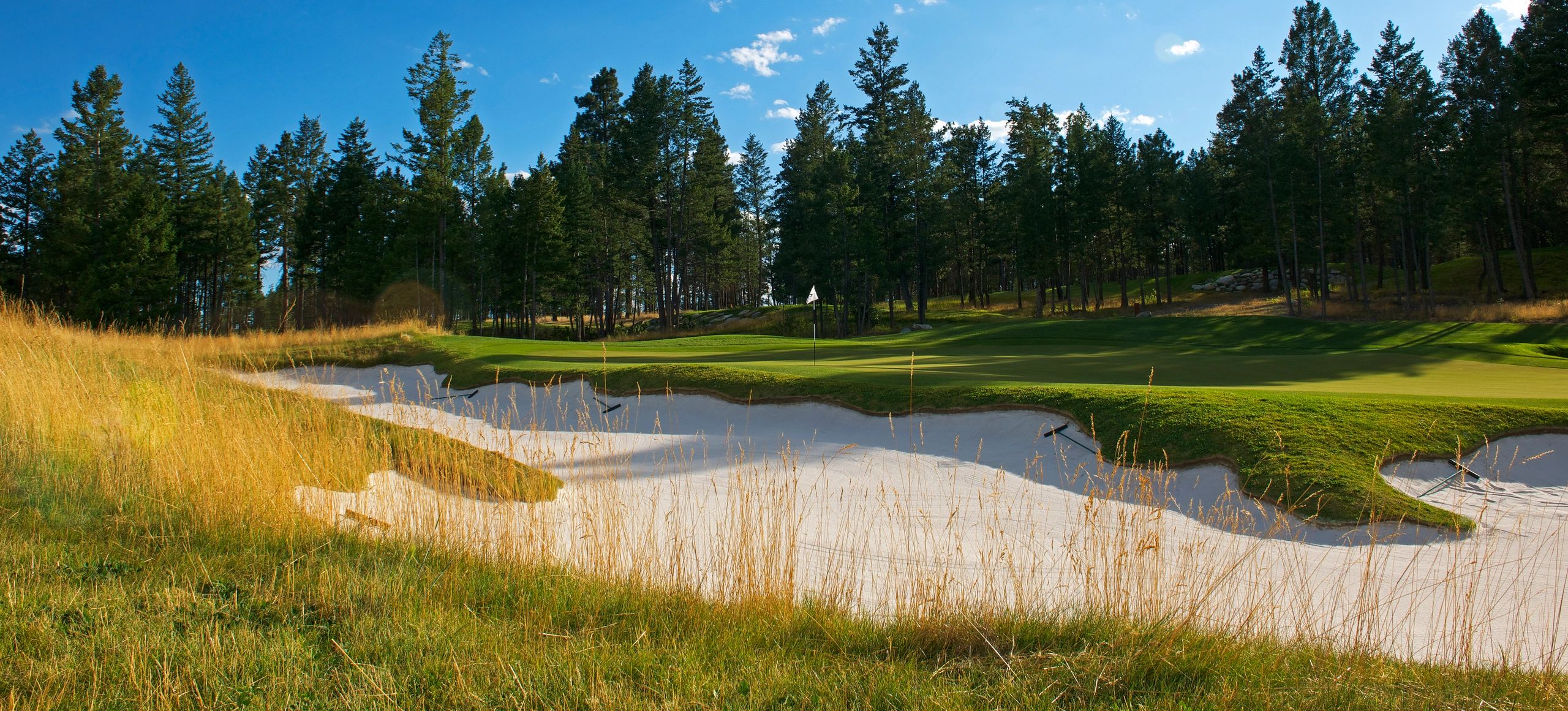 AWARDS Lawrence Golf Design